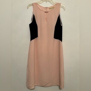 Gianni Bini sheath dress 12